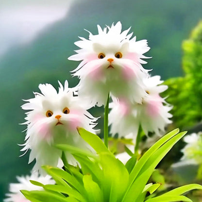 🐱🇺🇸GFOUK® Charming Blossom Seeds🔥🔥🔥