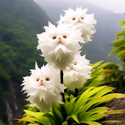 🐱🇺🇸GFOUK® Charming Blossom Seeds🔥🔥🔥