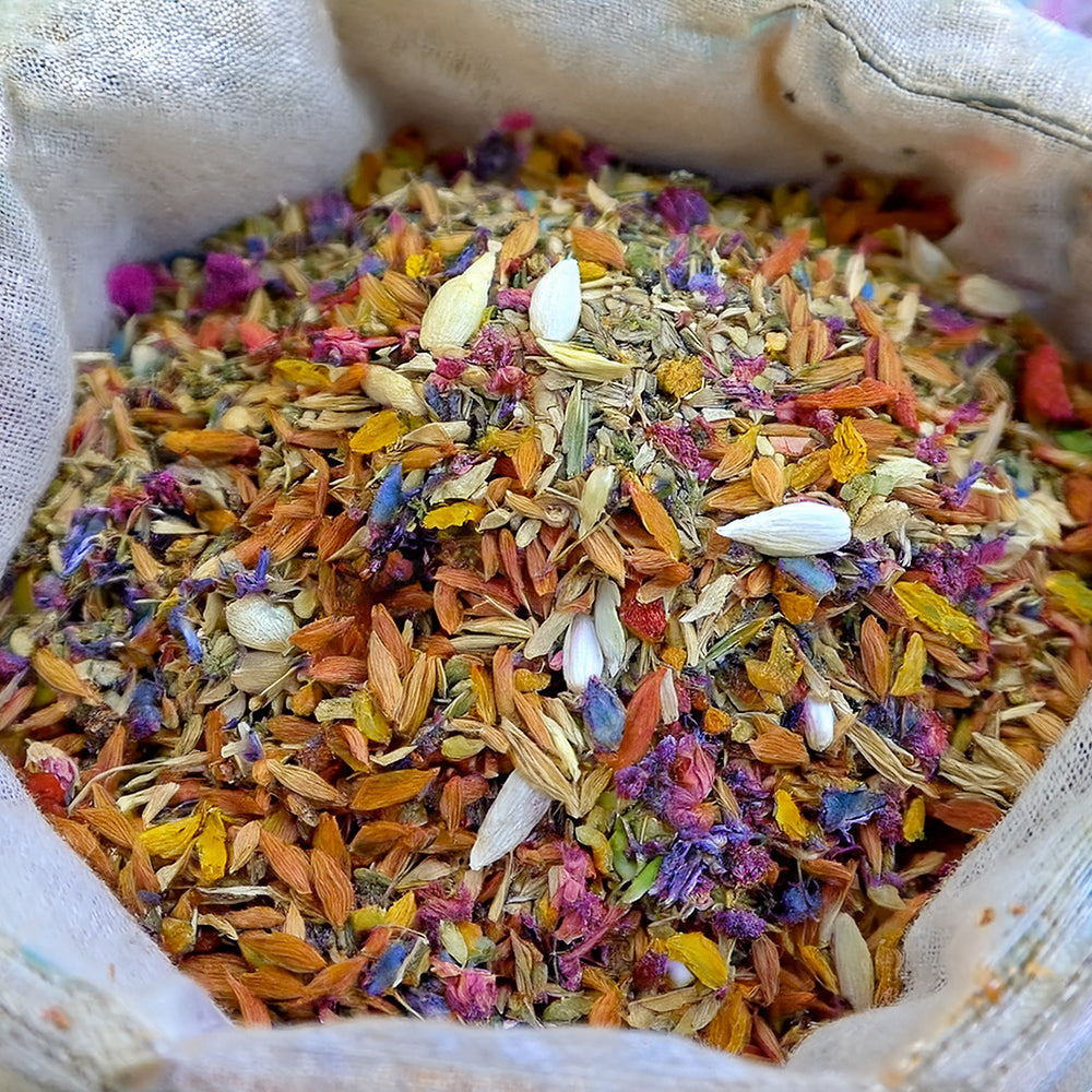 🐱🇺🇸GFOUK® Charming Blossom Seeds🔥🔥🔥