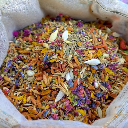 🐱🇺🇸GFOUK® Charming Blossom Seeds🔥🔥🔥